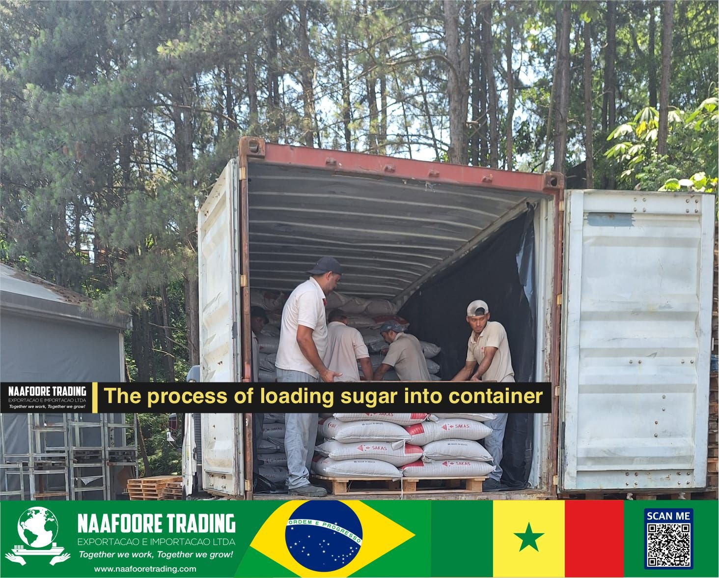 Brown Sugar Icumsa Raw Sugar Naafoore Trading Export And