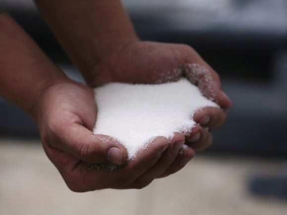 Global raw sugar prices expected to rise 20% this year: Reuters poll