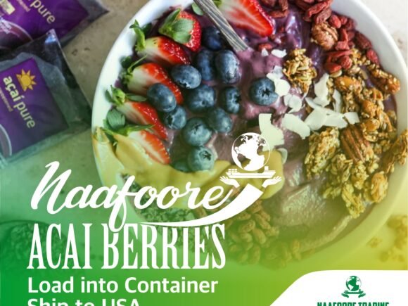 Our Journey: Exporting Açaí Berries to the USA